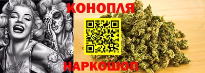 мяу мяу мука Абакан