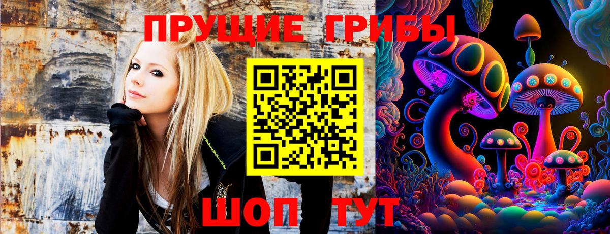 Псилоцибиновые грибы мухоморы  Галлюциногенные грибы GOLDEN TEACHER  Алексин 