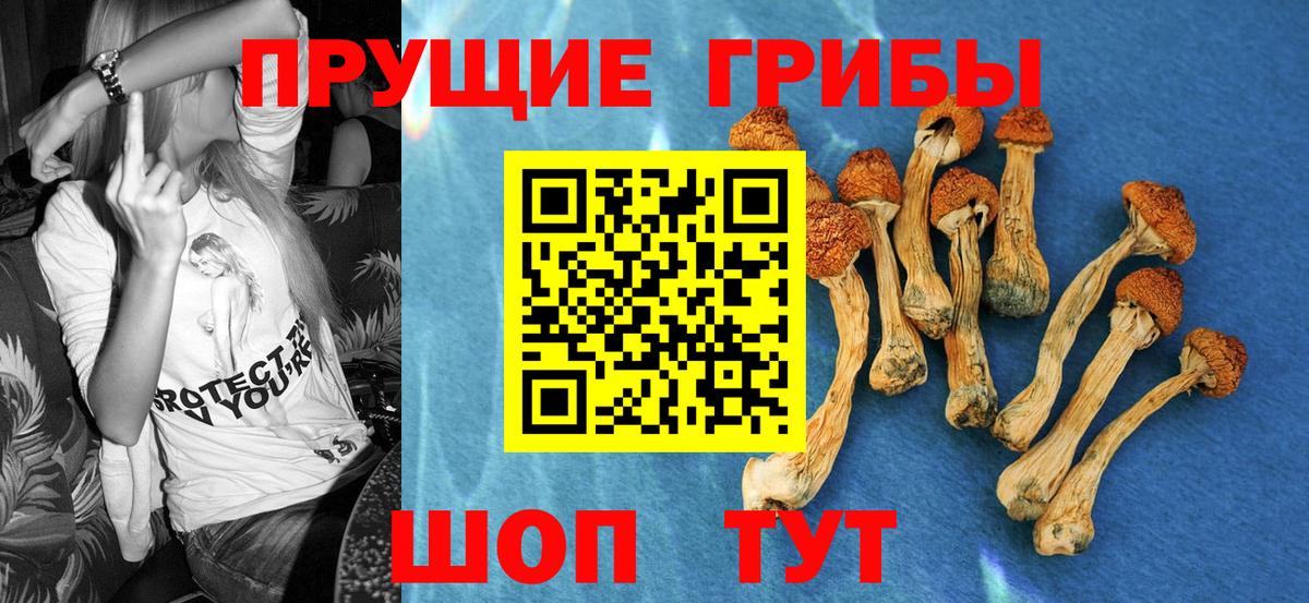Псилоцибиновые грибы мицелий  Вход с VPN  где можно купить   Алексин 