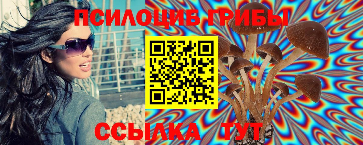 Галлюциногенные грибы MAGIC MUSHROOMS Алексин